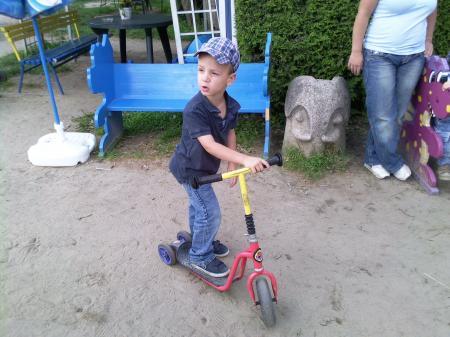 Bild zu