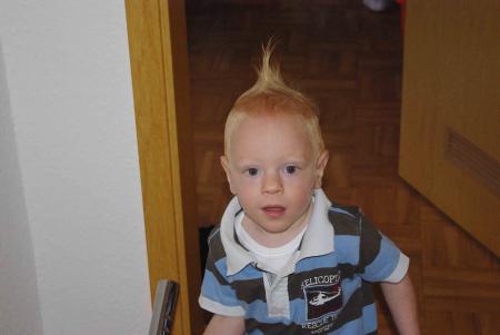 Bild zu 