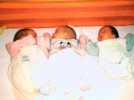 Bild zu 