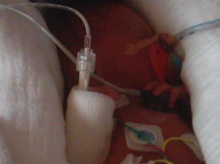 Bild zu 