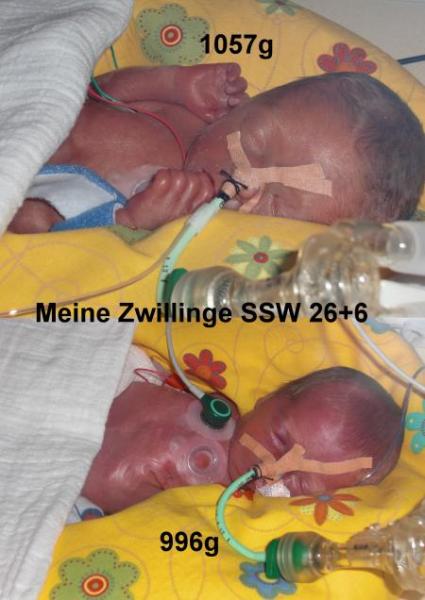 Bild zu 
