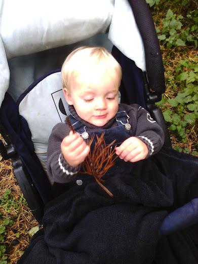 Bild zu 
