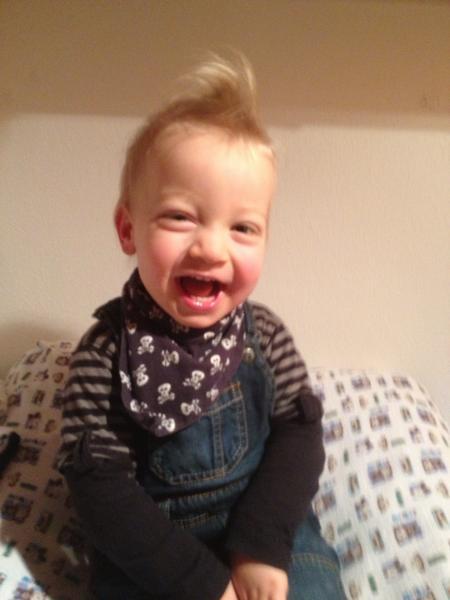 Bild zu 