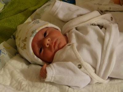 Bild zu sga/wachstumsretardierung/frühchen/nun zu hause - Frühchen - für Eltern mit frühgeborenen Babys