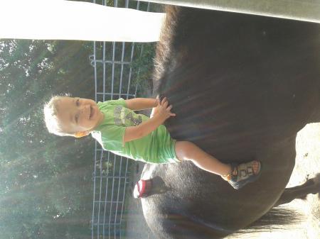 Bild zu