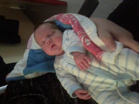 Bild zu