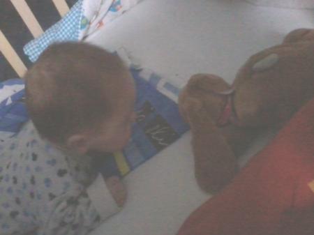 Bild zu 