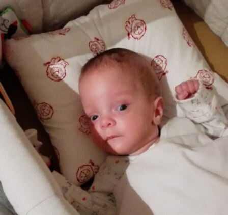 Bild zu Das Bild von zu Hause wie gewünscht - Frühchen - für Eltern mit frühgeborenen Babys