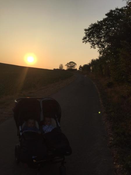 Bild zu
