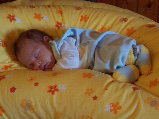Bild zu 