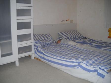 Bild zu 