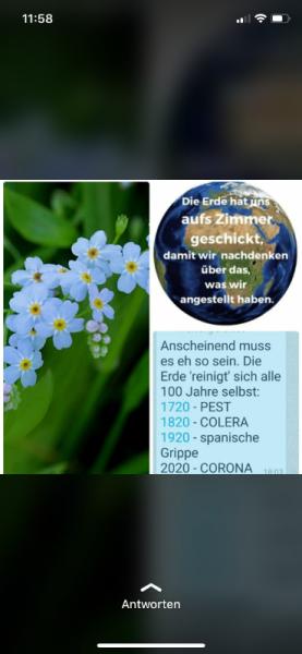 Bild zu 