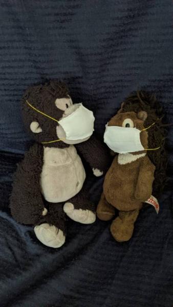 Bild zu Endlich sind die Lieblinge meiner beiden auch nahverkehrstauglich :-D - Coronavirus - Schwangerschaft, Baby, Kinder und Familie