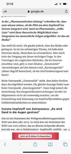 Bild zu