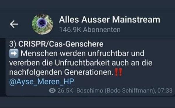 Bild zu 