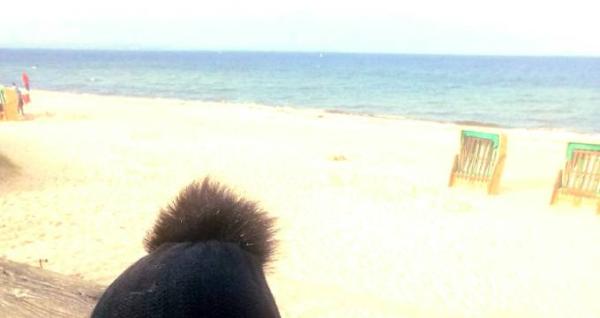 Bild zu 