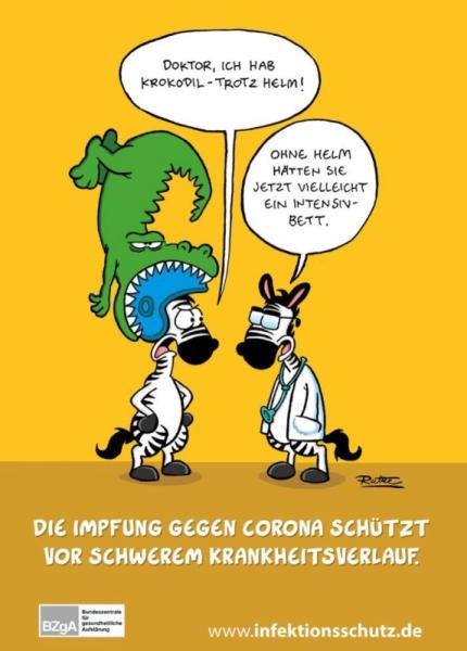 Bild zu 