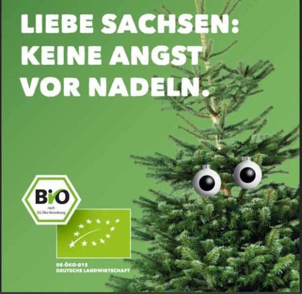 Bild zu Werbung - Netzfund - Coronavirus - Schwangerschaft, Baby, Kinder und Familie