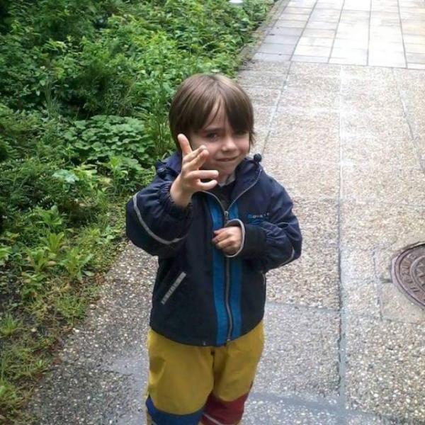 Bild zu