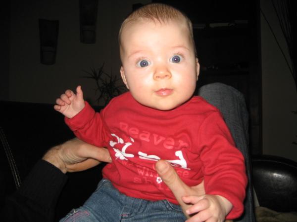 Bild zu Haben wir alle das gleich/ähnliche Probleme ? - Der erste Brei - die Beikost