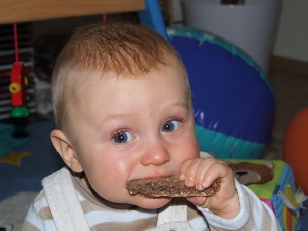 Bild zu Brot u.a. - Der erste Brei - die Beikost