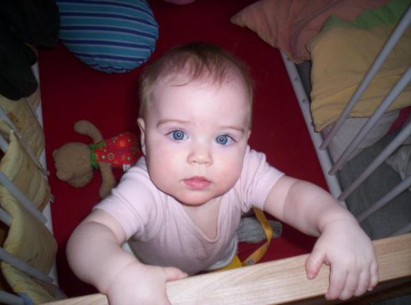 Bild zu Kuchen zum 1. Geburtstag? - Der erste Brei - die Beikost