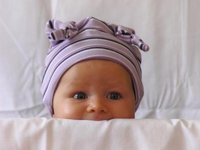 Bild zu Haben wir zu wenig mahlzeiten? - Der erste Brei - die Beikost