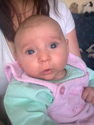 Bild zu der erste brei ??? - Der erste Brei - die Beikost