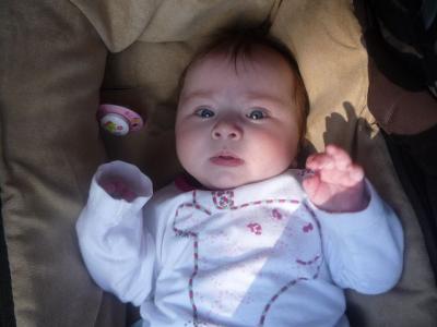 Bild zu wann ist die 1. Beikost ersetzt? - Der erste Brei - die Beikost