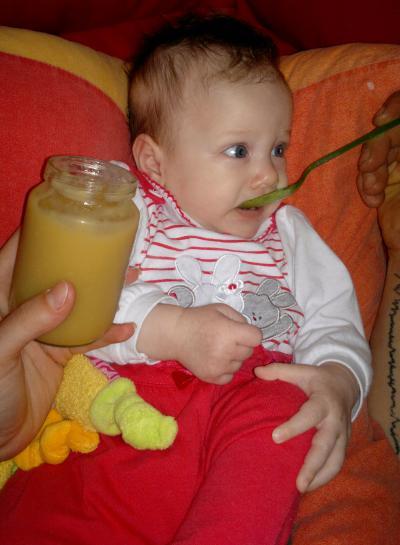 Bild zu Hipp Gläschen - Der erste Brei - die Beikost