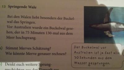 Bild zu auch Mathe frage schriftliche Division - Zehn bis Dreizehn