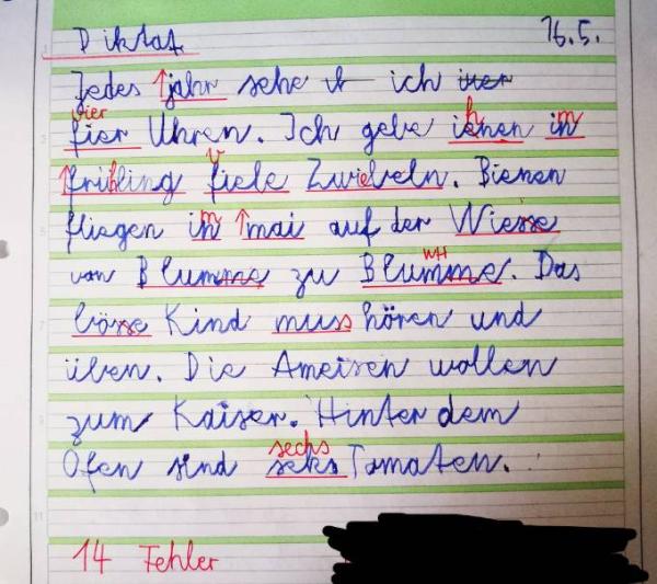 Bild zu 