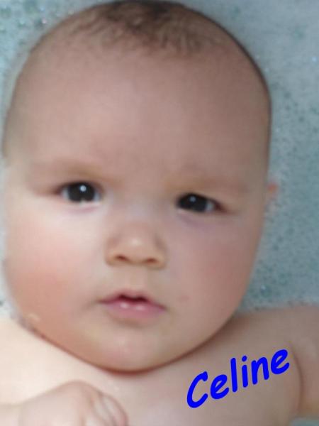 Bild zu milch... - Fläschchennahrung - Milch aus dem Fläschchen fürs Baby