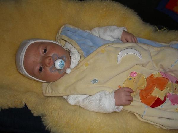 Bild zu 