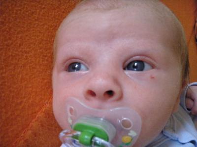 Bild zu Normal?? - Babys 1. Lebensjahr