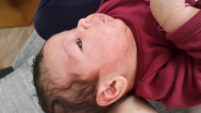 Bild zu wimmerl - Babys 1. Lebensjahr