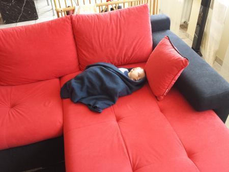 Bild zu 