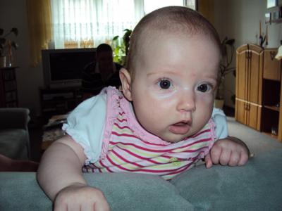 Bild zu 