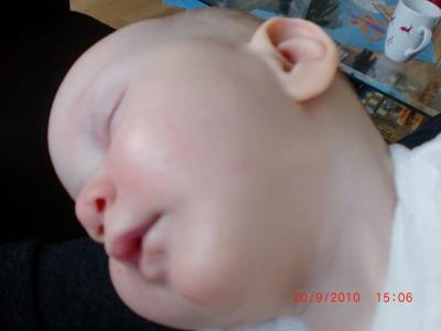 Bild zu 
