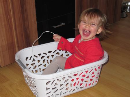 Bild zu