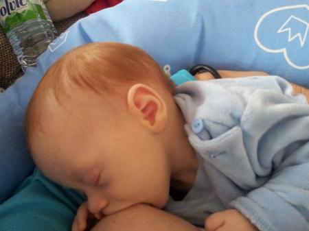 Bild zu
