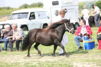 Bild zu 