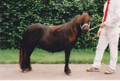Bild zu 