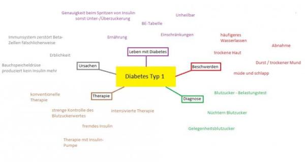 Bild zu *Einschleich* Diabetes Typ 1 - Hilfe für chronisch kranke und behinderte Kinder