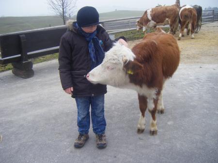 Bild zu