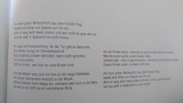 Bild zu Wellensittich und Spatzen - Hilfe für chronisch kranke und behinderte Kinder