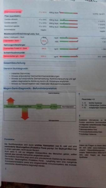 Bild zu 
