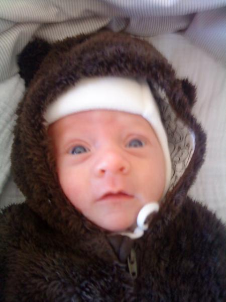 Bild zu Enkelmäuse - Forum und Treffpunkt für Omas