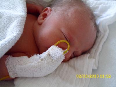 Bild zu Bilder von heute Mittag - Forum und Treffpunkt für Omas