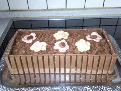 Bild zu Erste Frühlingsblumen gepflanzt - Forum und Treffpunkt für Omas